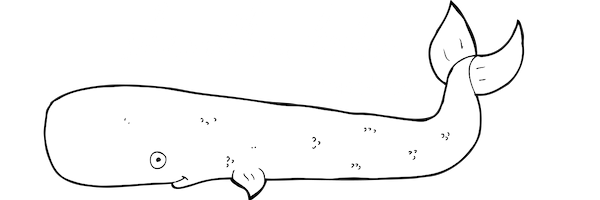Shave the whales Reiseblog