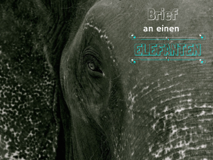 Brief Elefant