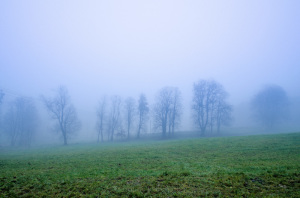 Nebel am Tegernsee